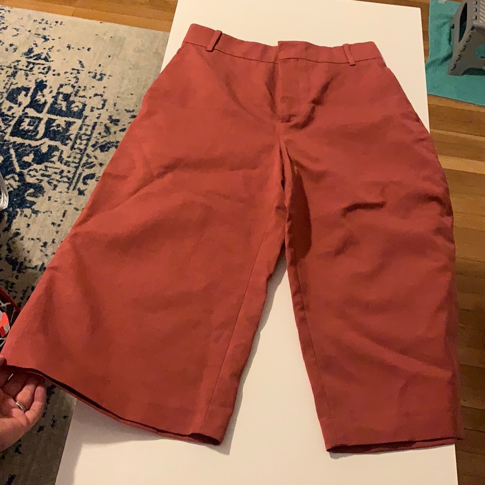 NWOT Zara high-waisted wide-legged cropped pants